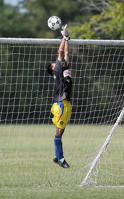 法國中場 法國中場