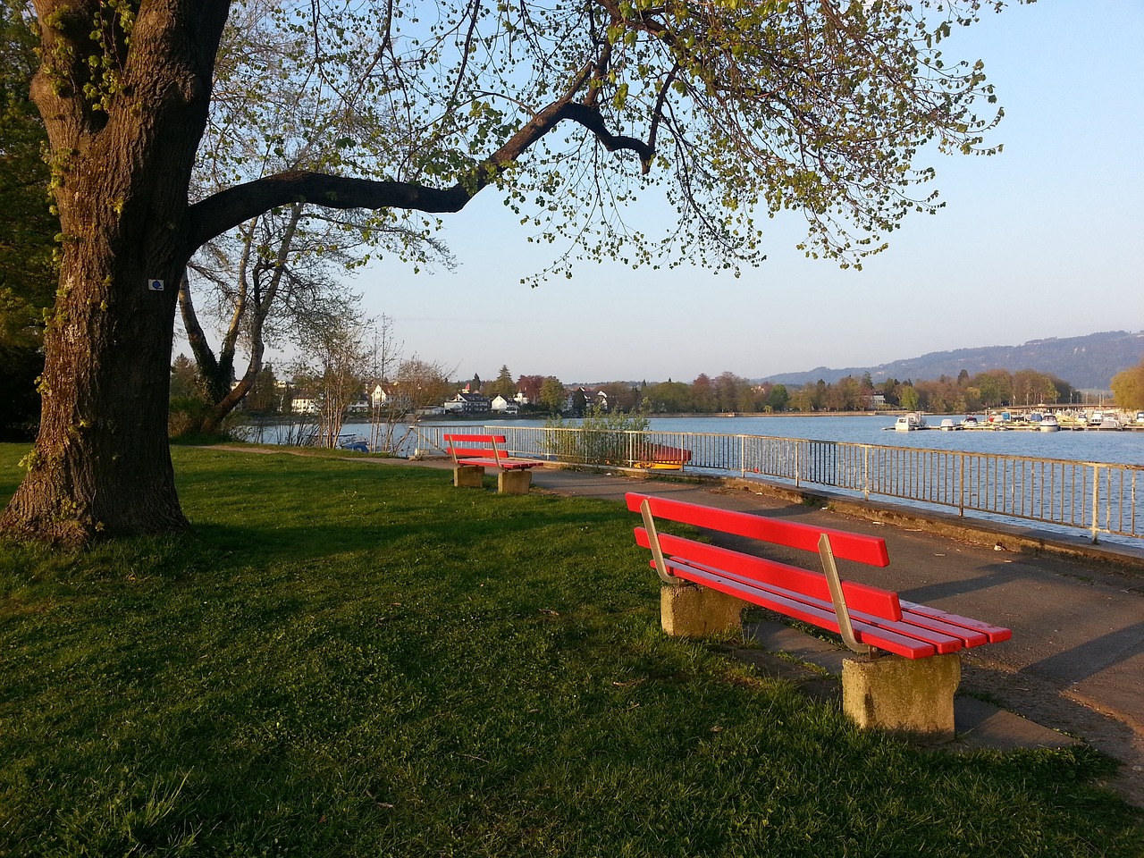 仅振奋了全 仅振奋了全