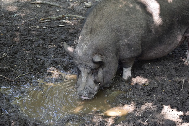 提高射门准 提高射门准