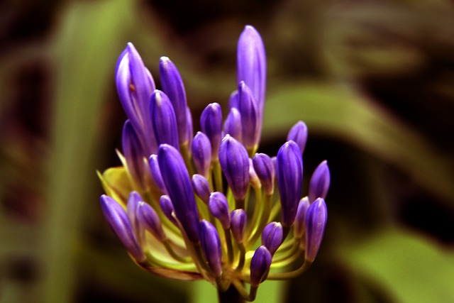 不小的挑战 不小的挑战