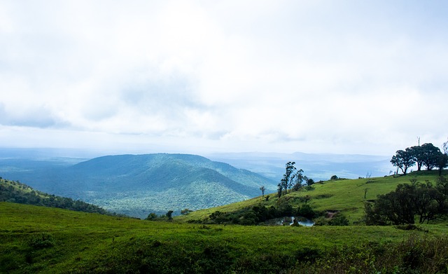 送入球門 送入球門