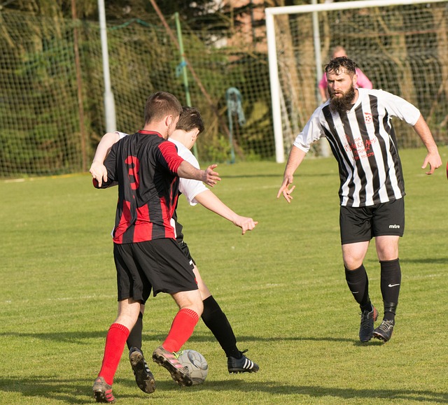 促和不协调 促和不协调