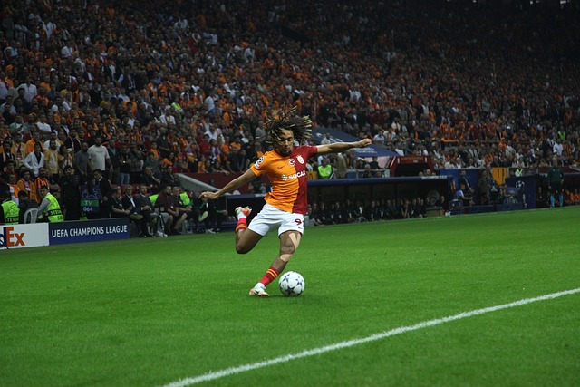 观察力和娴 观察力和娴