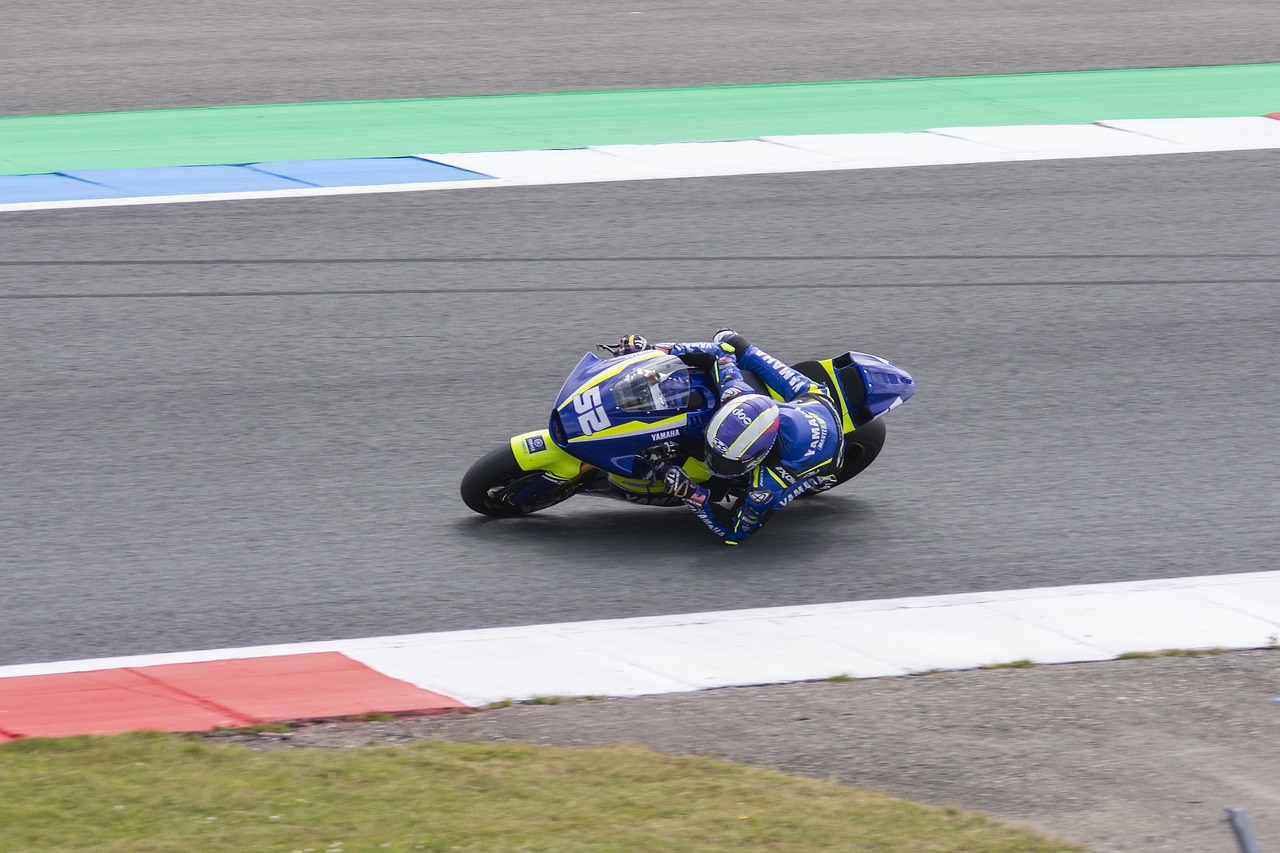 洛蒂在用人 洛蒂在用人