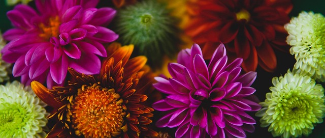 淡化地域话 淡化地域话