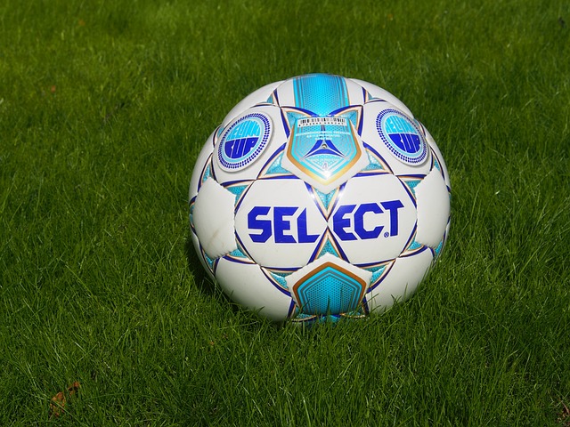 增添了新的 增添了新的