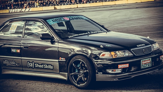 无可争议的 无可争议的