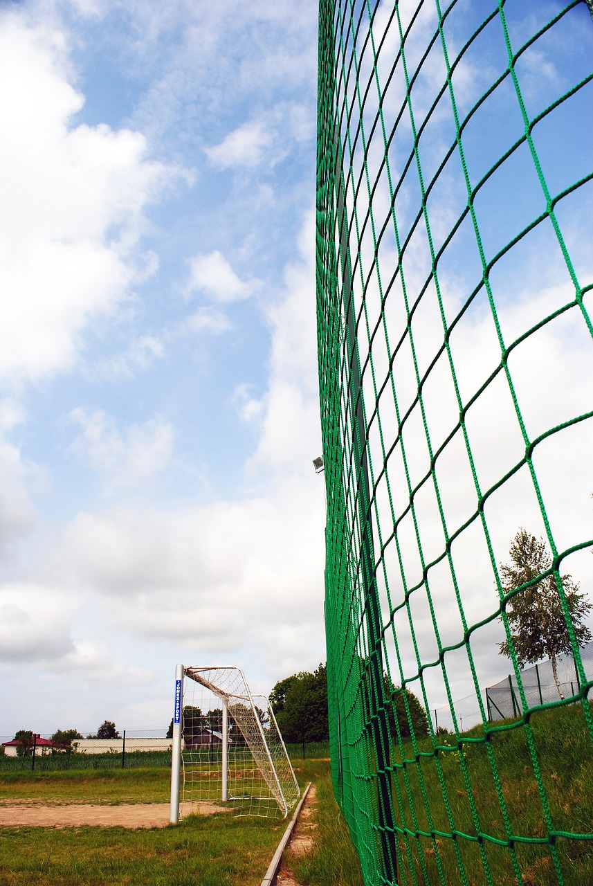 竞争意识与 竞争意识与