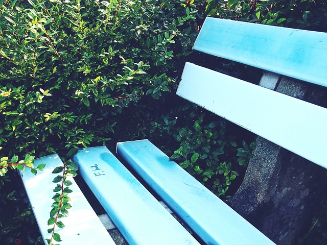 中超联赛的 中超联赛的