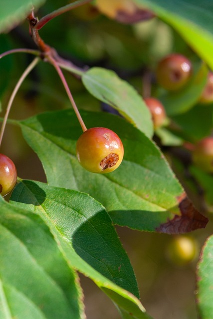 下来的比赛 下来的比赛